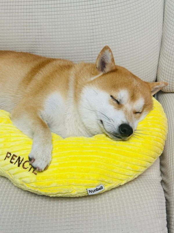 Nunbell Pet Household Pillow