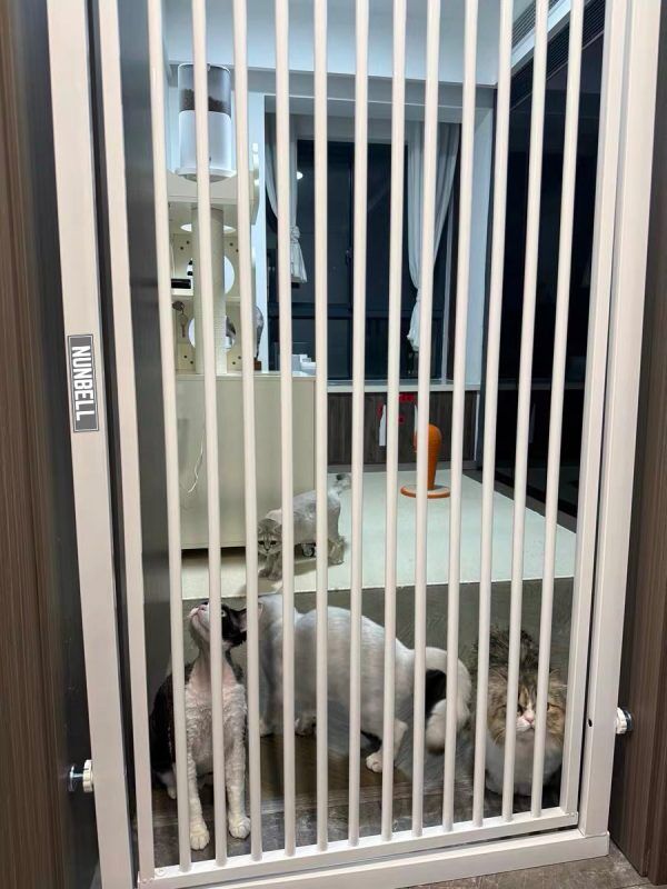 Nunbell Pet Satefy Gate