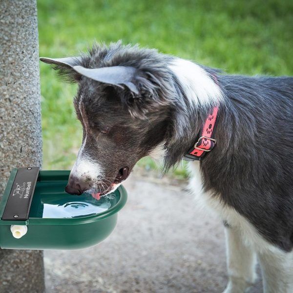 Nunbell Pet Drinking Trough